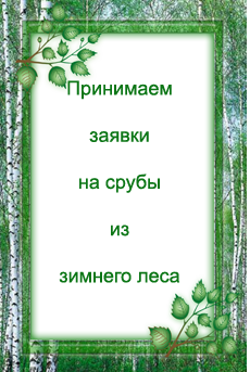 срубы из зимнего леса